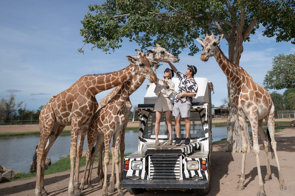 Hogarth Holidays does Safaris